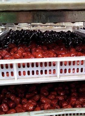 HT-KRHH-红枣大枣开闭环机烘干除一体机商用热大型空气能泵烘干湿