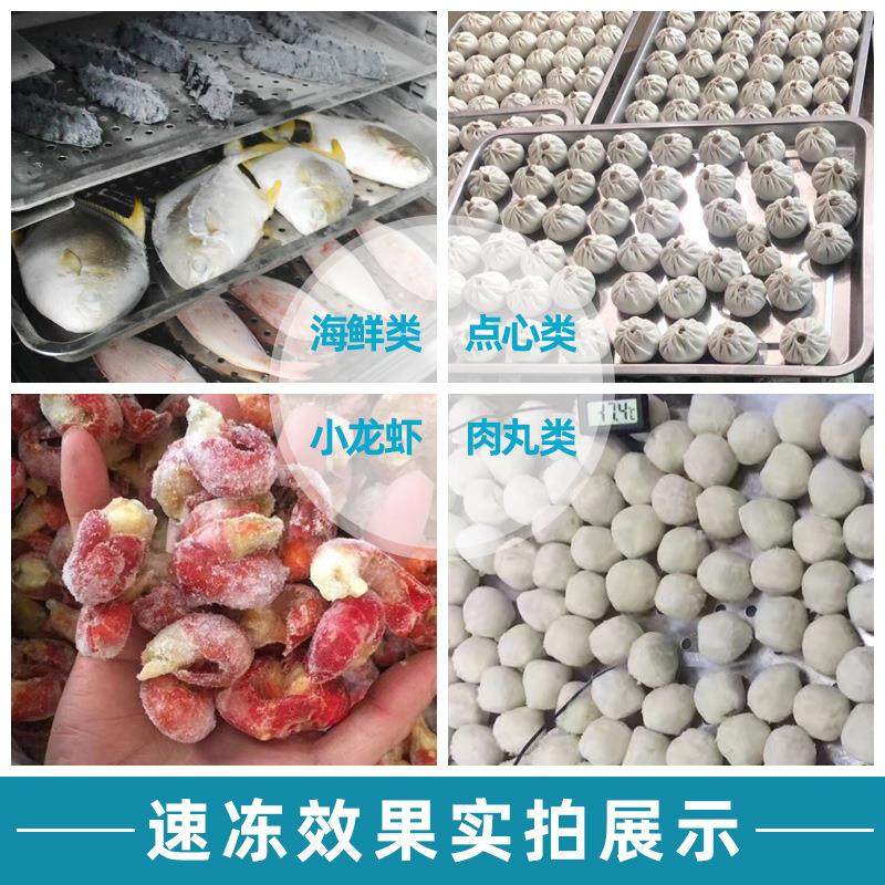 速ATA冻商斯用机无霜风冷冻大容量慕烘焙冰柜海鲜食品推车速柜