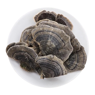 云芝中药材500g克  长白山黄云芝片手选灵芝干货孢子粉菌包云之茶