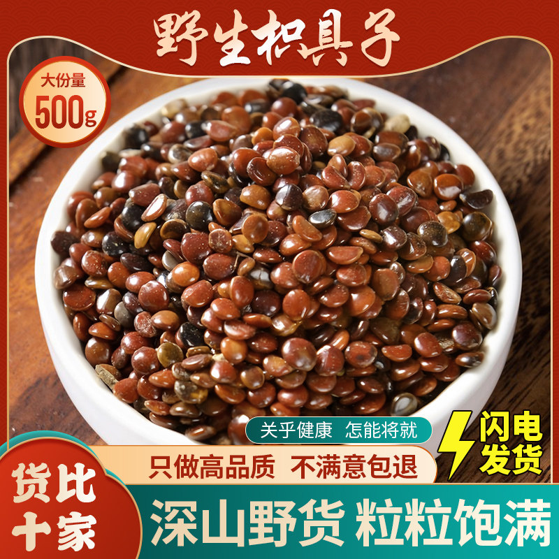 枳椇子中药材500g新货正品拐枣籽泡水可搭葛根解葛根葛花枳具子酒