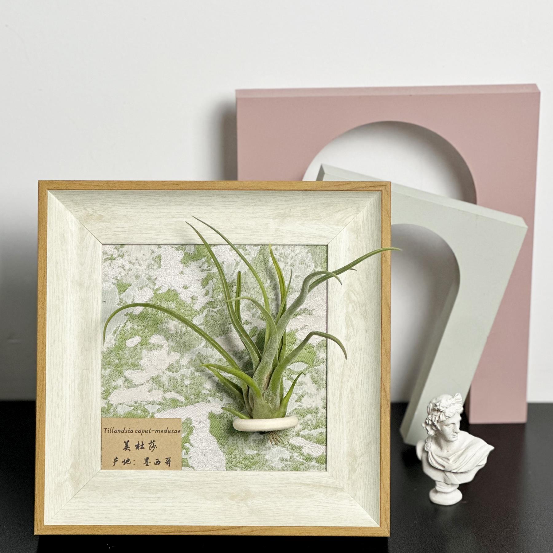 ins空气凤梨套餐磁吸现代装饰画框复古桌面室内墙上白木色相框6寸