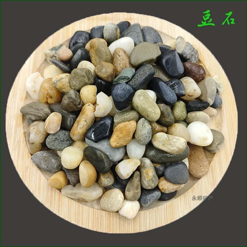 地暖回填用豆石鹅卵石滤料水处理沼泽过滤园林造景用豆石颗粒