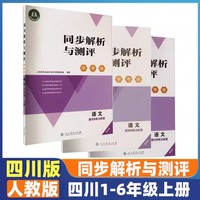 同步解析與測評學(xué)考練人教金學(xué)典