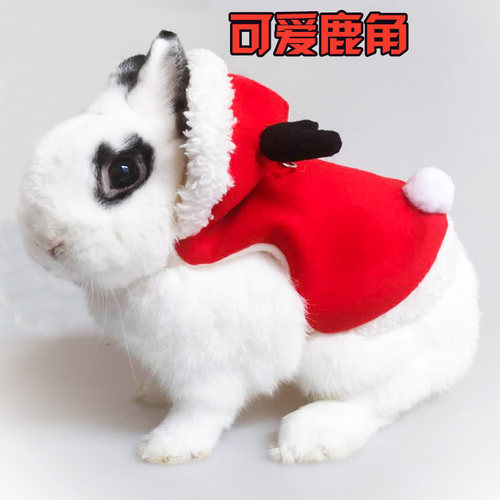 新品兔子衣服带牵引绳可爱u圣诞新年服饰宠物兔兔保暖过冬加厚加