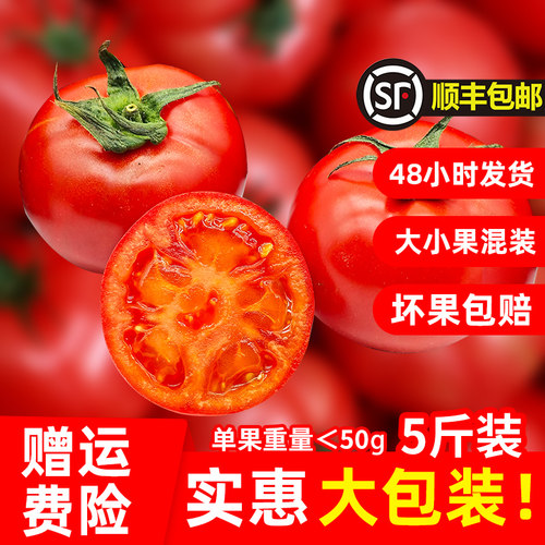 新鲜生吃草莓番茄整箱现采现摘西红柿自然成熟脆嫩爆汁富含vc减脂