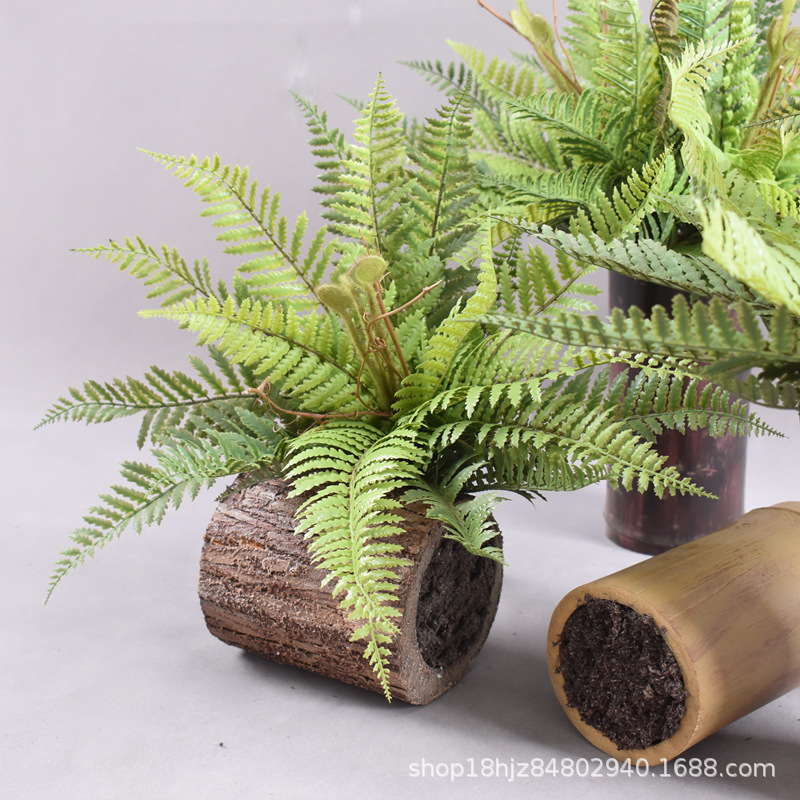 仿真波斯叶手感大厥叶蕨草蕨类植物造景绿植壁挂装饰墙面垂吊假草