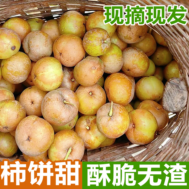 潮汕油柑王新鲜柿饼甜油甘果甜种油甘余甘果滇橄榄榨汁丙甜油柑