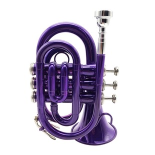 极速降B漆e金手掌号降B调手掌号降B调袖珍小号微型小号手掌号小号