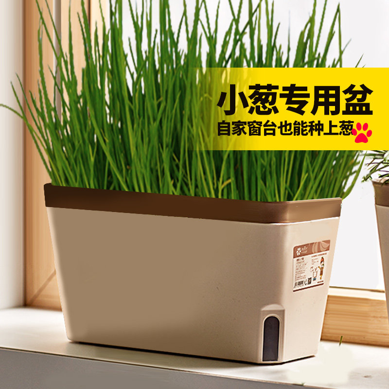 速发室内窗台种葱蒜种人种菜懒箱植菜盆种植蔬菜植物盆花盆盆栽