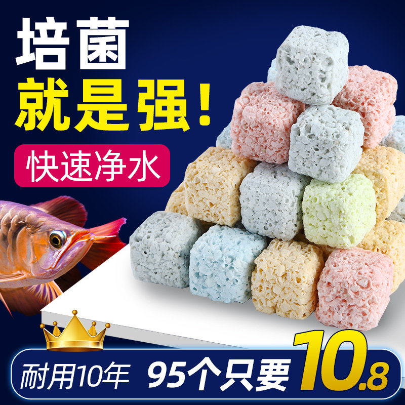 速发鱼瓷过滤材料滤材硝化细菌屋陶缸环纳培石英球鱼池米菌