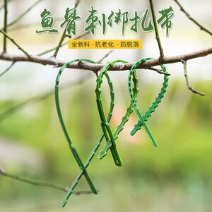 速发鱼骨式扎带固定扣牵引线可松型爬物植藤线绑园艺扎线固定神器