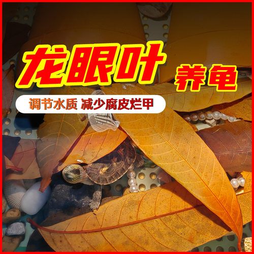 速发乌龟躲眼叶腐皮龙甲烂避龟用养龟免煮叶子龟缸懒人叶改善水质
