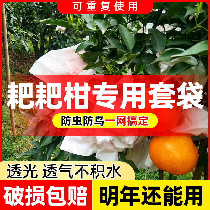 速发耙耙柑红袋专用袋春见不用火套美人柑橘葡萄水果蔬菜通知网袋