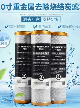 厂家定制  10寸平口除PFAS除重金属净水器滤芯烧结椰壳活性碳复合
