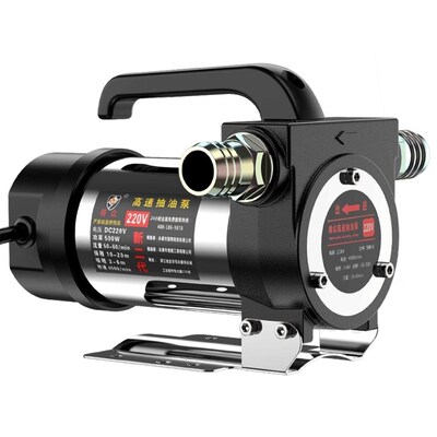 现货速发得众电动抽油泵小型12V24V220V伏柴油泵加油机正反抽油神