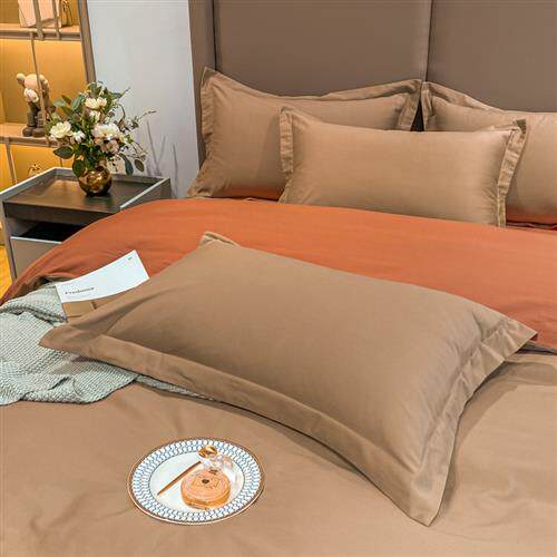 极速加厚1d00支磨毛枕套一对装A类全棉纯棉绒枕头套纯色整套枕头