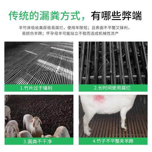 极速羊粪漏粪板羊床羊粪养羊用的漏粪板J猪羊用羊圈双筋加厚塑料