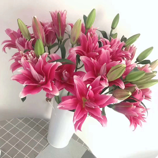 极速多头重瓣百合鲜花云南昆明斗南基地K直发室内花瓶水培情人节