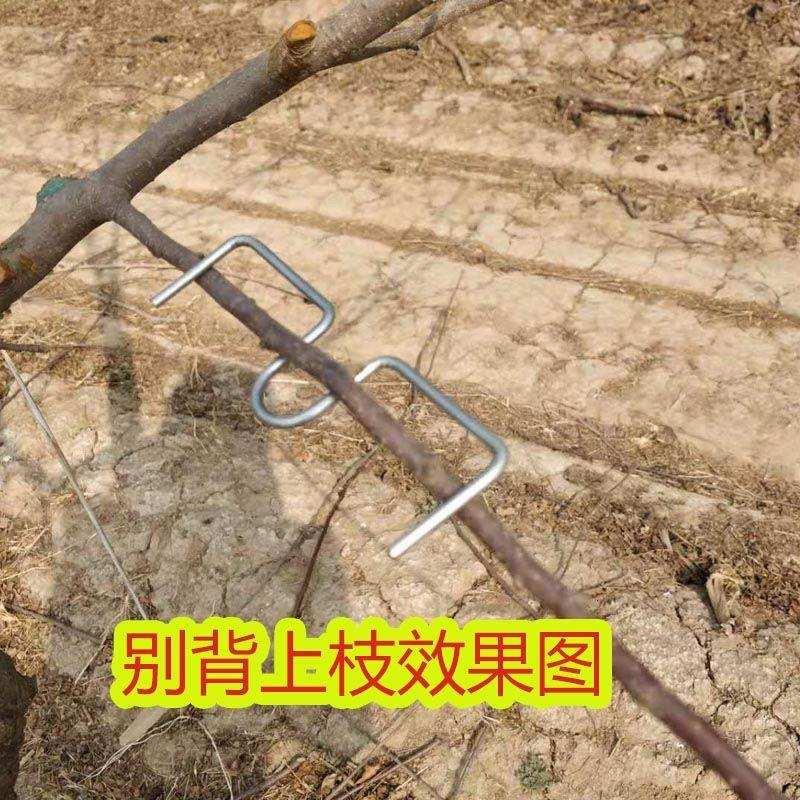 极速别枝器果树扭枝夹拉枝定型器苗木矫正K树枝条固定盆景造型压