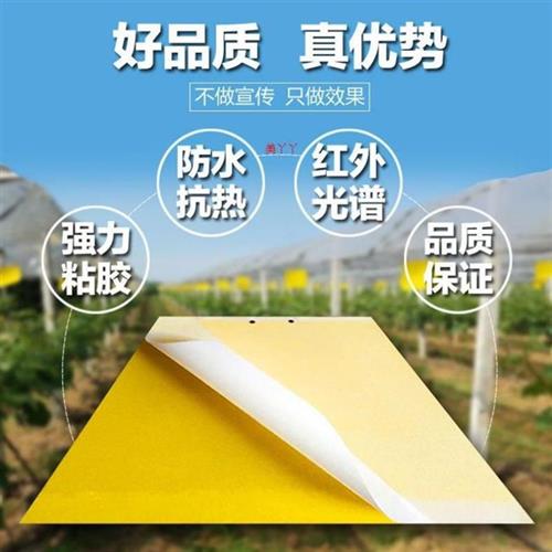 极速贴粘虫板时效长适用通用果蔬粘白G粉黑虫蔬菜实蝇家用跳蚤温