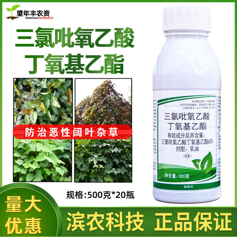 滨农科技三氯吡氧乙酸高浓度灭葛藤蔓络石藤灌专用阔叶除草烂根剂