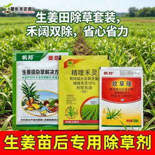 姜总兵生姜地除草专用剂敌草隆精喹禾灵仔姜大姜田苗后除草专用药