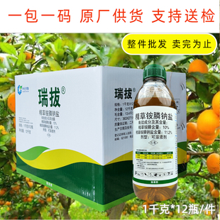 中化瑞拔10%精草铵膦钠盐草胺磷批柑橘果园牛筋草除草烂剂整箱发