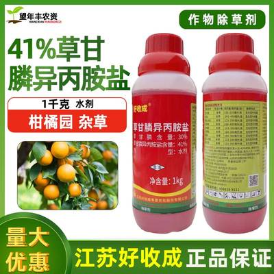 好收成41%草甘膦异丙胺盐除草烂根剂一扫光柑橘园草甘磷铵盐正品