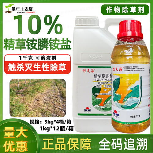 七洲惊天海果园荒地牛筋草小飞蓬