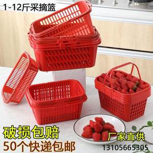1-12斤装草莓篮子塑料水果采摘篮子杨梅篮方形一次性手提篮桐年