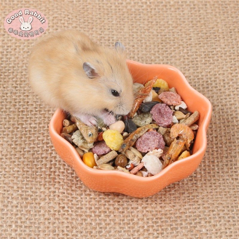 极速仓鼠粮食豪华宠物饲料金丝熊杂粮主H食仓鼠用品仓鼠粮食350克,宠物/宠物食品及用品,鼠粮,淘宝优惠券,粉丝福利购,淘宝优惠卷