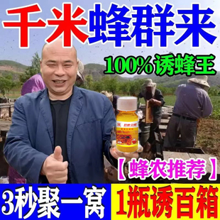 速发招蜂水诱蜂搜捕野蜜蜂引诱新手养蜂神器天然纯蜂蜡信息素诱土