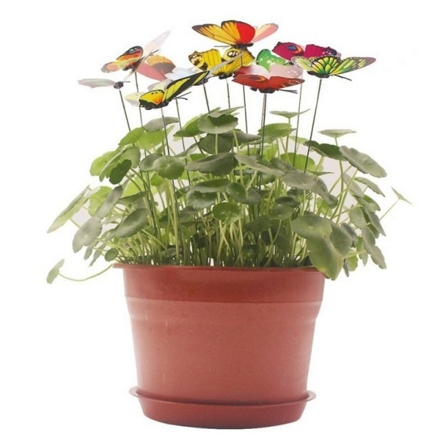 极速6pccs/12pcs/18pcs/lots Butterflies Stakes Garden Yard Pl