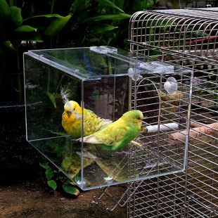 极速鹦鹉繁殖箱透明亚o克力虎皮牡丹玄凤专用巢箱大号竖式鸟笼鸟