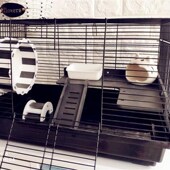 tie Syrian pqackage 极速Black cage hamster