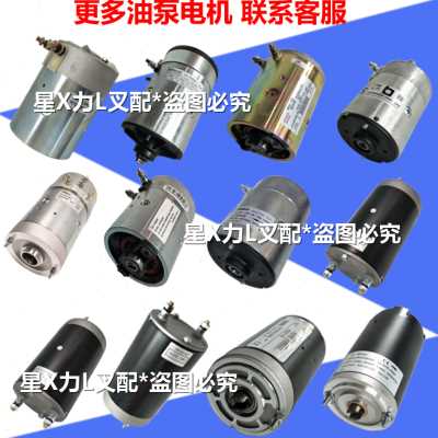 极速厂销林A2起M20液压油奢华直流电机升W4德22K泵提升W堆高车DV2
