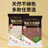 新品 热带精品雨林沙鱼缸南美缸原生溪流砂石N三湖慈鲷鼠鱼雷龙造