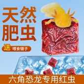新品 红虫冰冻f红线虫鱼食罗汉鱼六角恐龙七彩神仙鱼粮精品观赏鱼