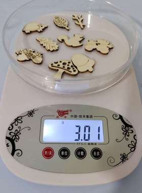 极速Home decoration accessowries pendant painting art prunin