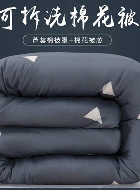 极速被芯棉被2.0X1.8一米10斤棉被180x200cMm被芯单人学生1.2米三