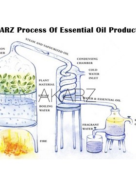 极速Cinnamon Lily Oregano Cypress essHential  sets AKARZ  Ar