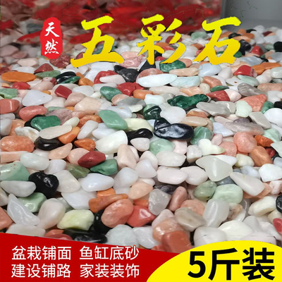 天然溪流石原生水族鱼缸铺底河沙鹅卵石多肉铺面小石子过滤砂石