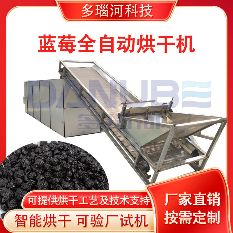 网带黑莓大型烘干设备 地果龙果蛤塘果清洗烘干生产线 蓝莓烘干机