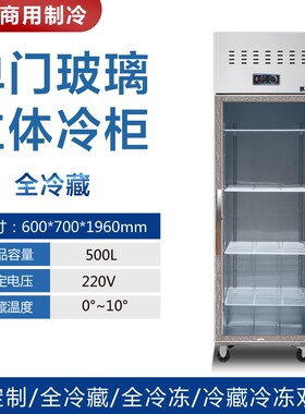 四门冰柜工作台商用大容量冷藏保鲜平冷六门冷冻立卧式厨房奶茶店