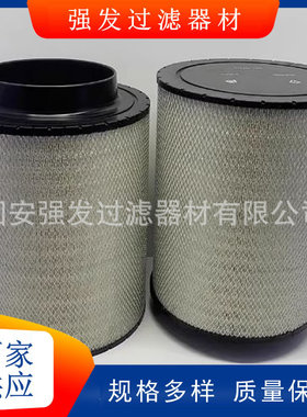 B120376螺杆机空气滤芯ECB120376 0180941002 PA5505 C311195