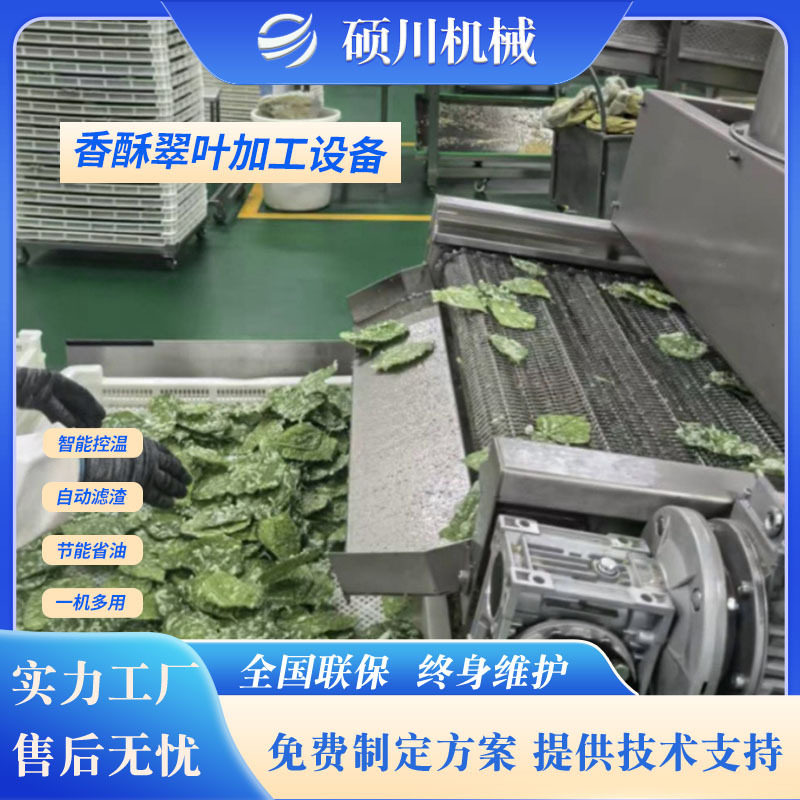 桑叶连续式油炸机南瓜花淋浆油炸生产线香酥脆叶裹浆油炸流水线