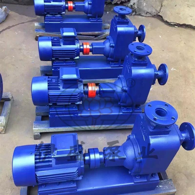 供应自吸泵100ZX100-50