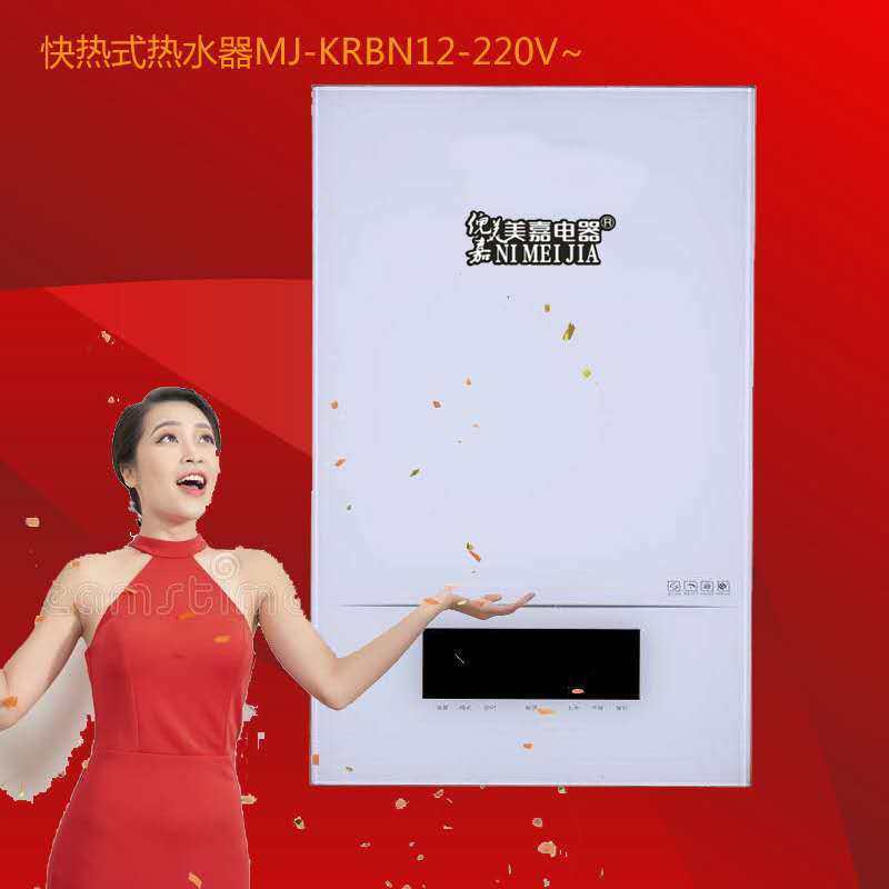 厂家供应家用供暖洗浴供暖两用电壁挂炉智能变频电采暖锅炉节能