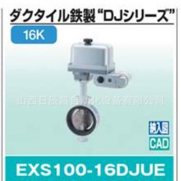 开滋KITZ 阀门 EXS100-16DJUE-50A