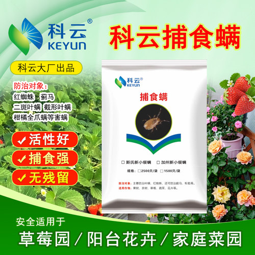 科云生物天敌草莓用吃红蜘蛛